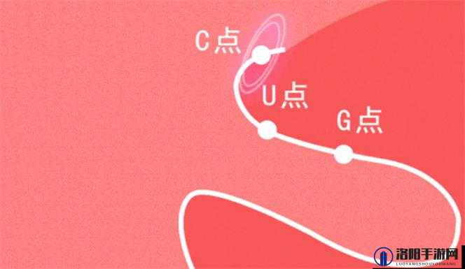 自 W 到高 C 的 25 种图：探索私密领域的指南