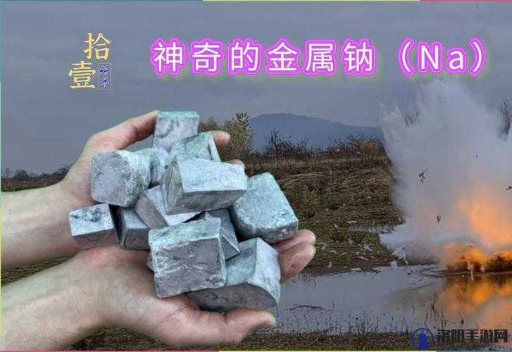 钢钢钢钢钢钠好多水：探寻其背后的神秘与魅力