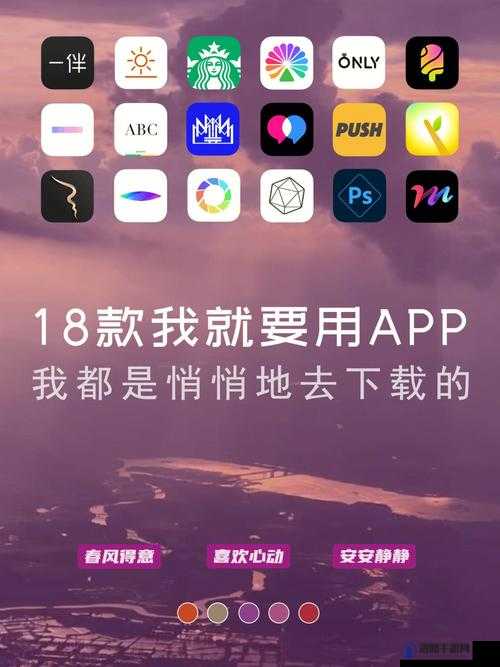 100 款夜间禁用软件 app 粉色：带你了解其独特魅力与禁用原因