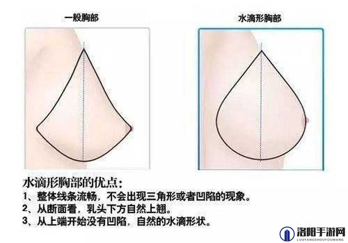 水滴形和圆形丰胸对比：两种不同形状丰胸效果的详细解析