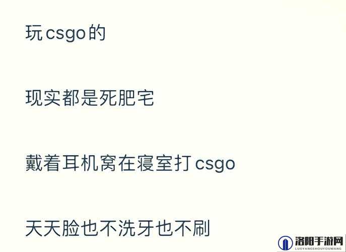 暴躁老阿姨谈 CSGO 视频之精彩见解与深度剖析