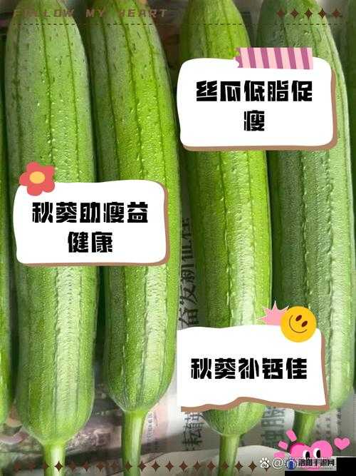 绿巨人秋葵芭乐榴莲丝瓜：多种蔬果的奇妙组合