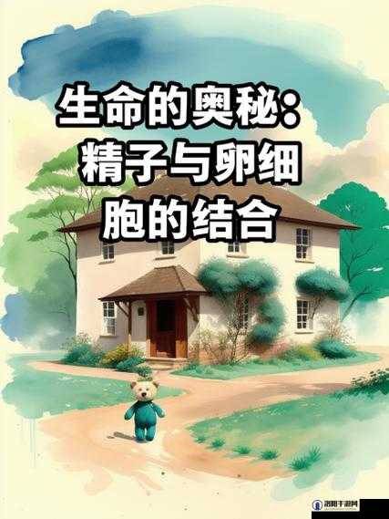 精液一二三：探索生命的奥秘