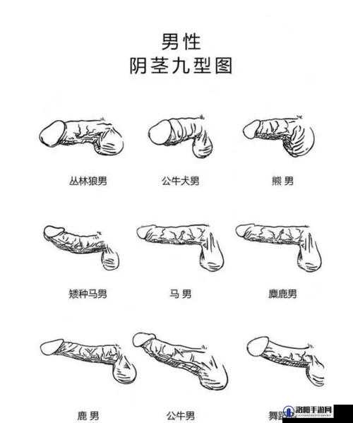 男人将其私密部位直接伸到无挡软件中引发的一系列问题探讨