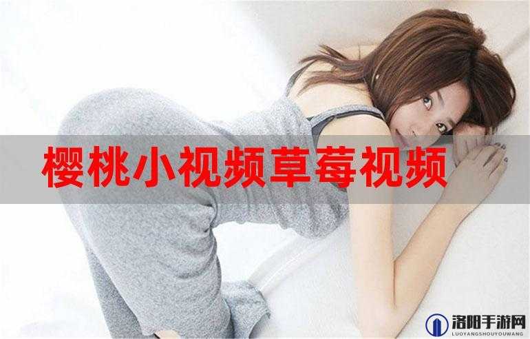 草莓视频在线观看 18：畅享精彩影视不容错过