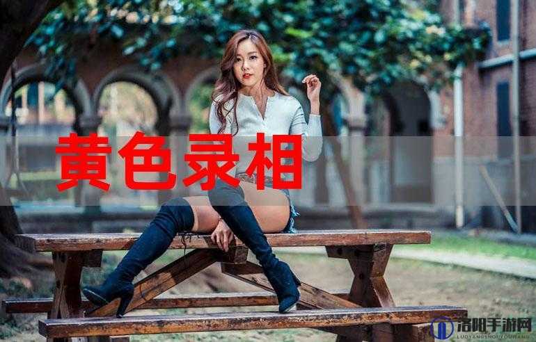 黄色 av 网址：精彩绝伦的成人世界大揭秘