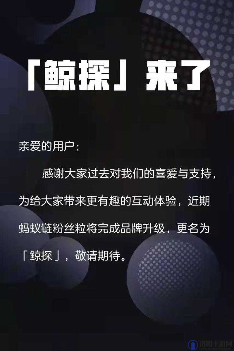 鲸探平台未来是否会开放二级市场及其具体开放时间深度探讨