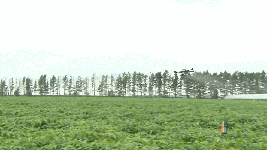 中国大豆网免费大豆信息：提供全面准确及时的行业动态