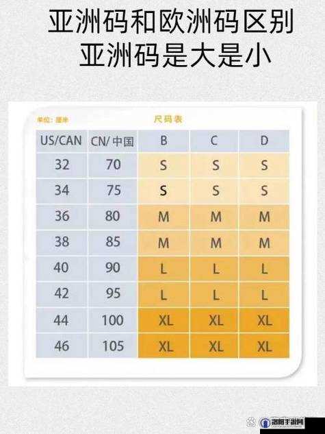 国产尺码与欧洲尺码对比之差异解析及详细介绍