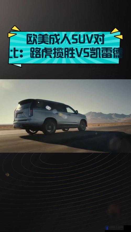 欧美性 SUV 车型的特点与优势以及市场影响力分析