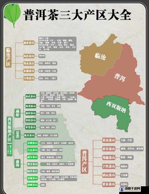 国产一产区与二产区的独特魅力与发展态势探讨