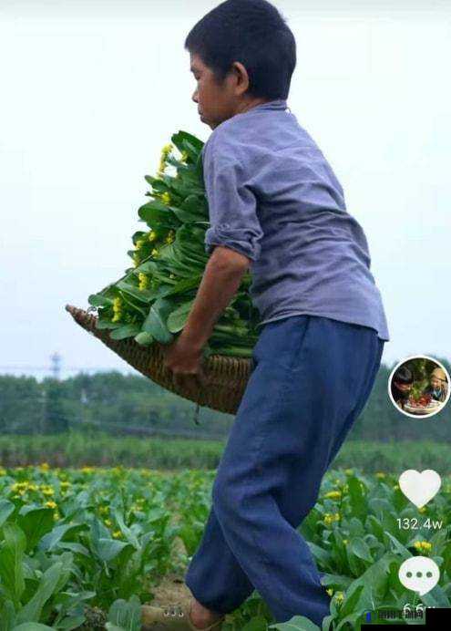 两个人拔萝卜生孩子蹲球没有马赛克引发的奇妙现象探讨