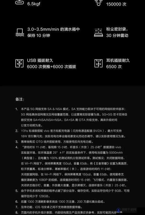 一级成色好的 y31s 标准：关于该标准的详细解读与分析