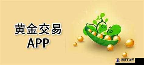 黄金网站 APP 软件下载：畅享便捷优质资源平台