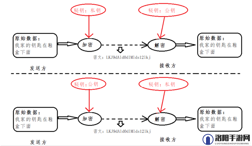 小白加密地址：一种安全可靠的加密方式介绍