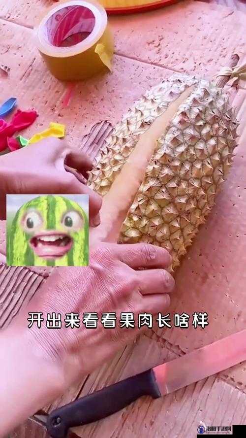 丝瓜茄子榴莲樱桃：美味蔬果与热带水果的奇妙组合