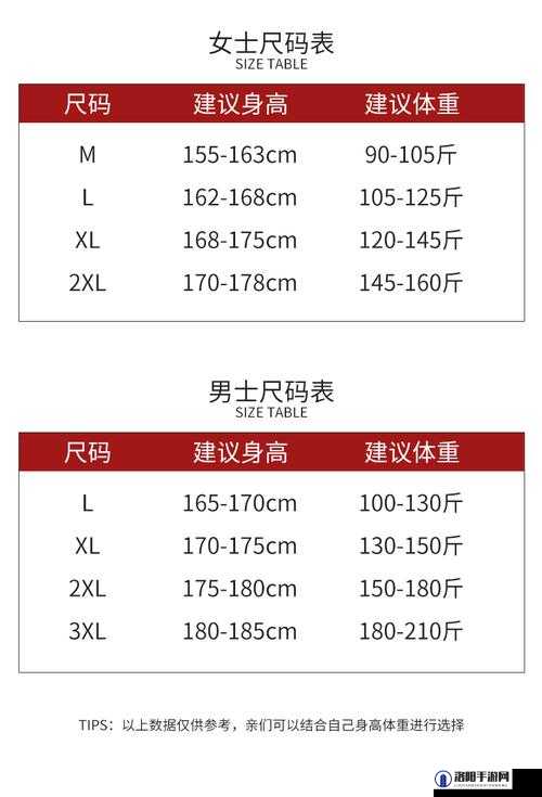 XXXXXXL19D18 价格表 2024 详细解读与分析