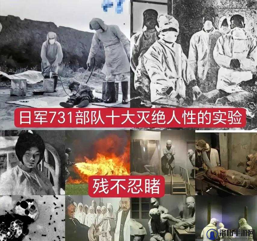 在 731 部队遗址拍照留念的亲日分子：罔视历史的丑陋小丑