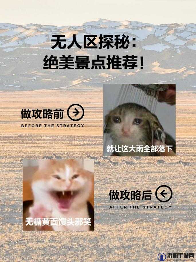 探索日本无人区码一码二码三码背后的神秘世界