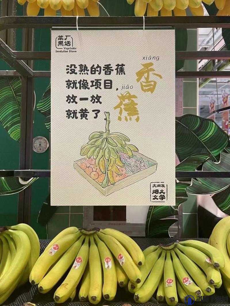 黄品汇香蕉就去干：开启别样精彩之旅