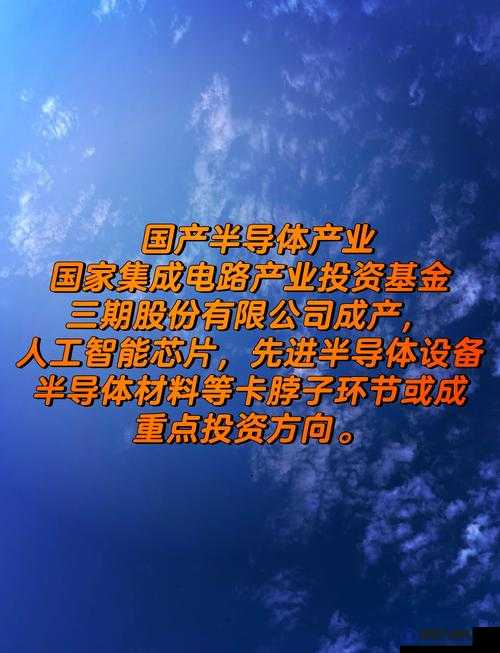 国产崛起之路：以国产为核心推动产业创新发展