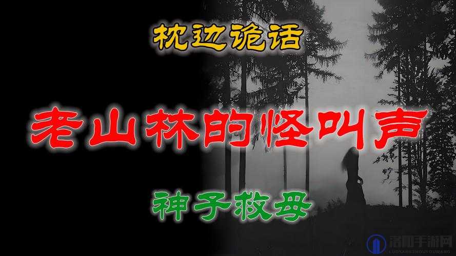 东北农村的荒唐事：揭秘那些让人啼笑皆非的奇闻异事