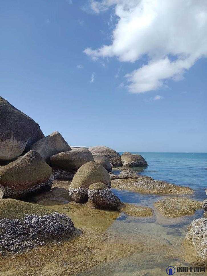 天涯海角海南：一个拥有绝美风光和独特魅力的地方