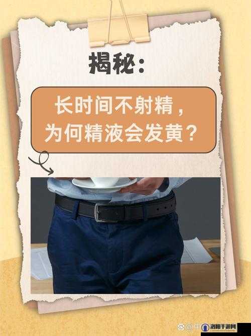 www.com 黄色相关内容引发的深度探讨与思考