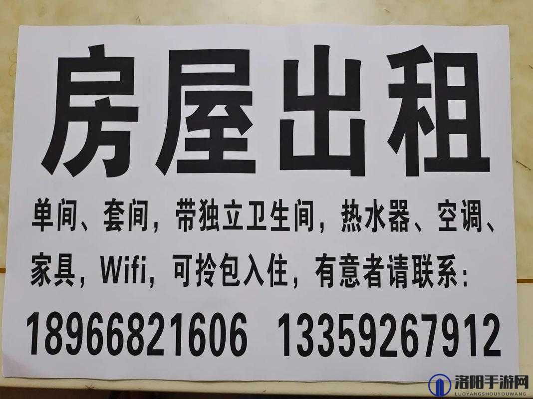 出租房里的交互高康张睿篇：一段充满故事的租住经历