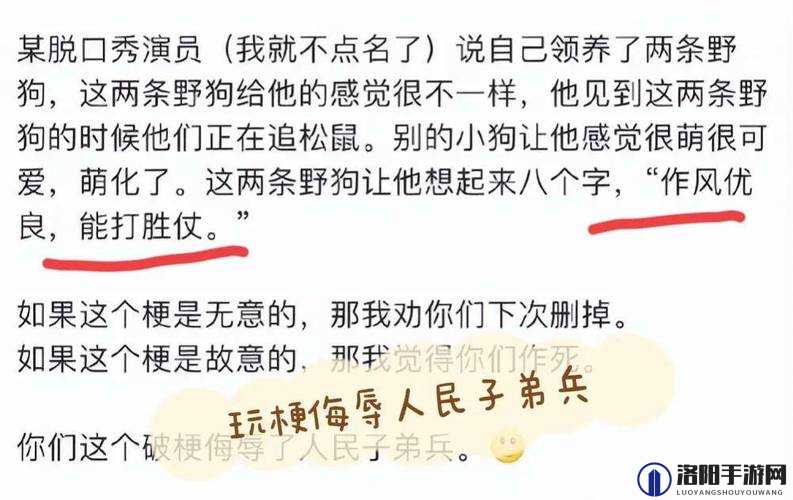 网络亚文化深度剖析，野兽先辈与先辈恶臭表情包的文化现象解析