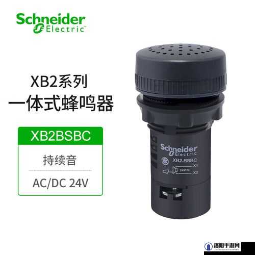 X 老 B 和 XB 的区别之详细对比分析与探讨