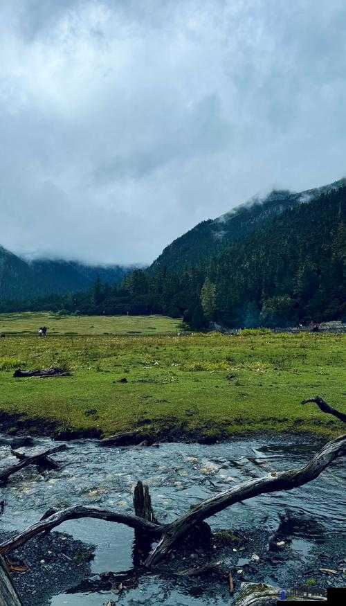 诺亚之心游戏深度探索，沐光秘境风景点全方位指南与揭秘