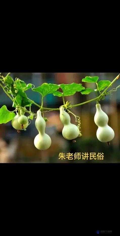 太荒初境游戏深度解析，收妖葫芦的获取方法与高效使用攻略