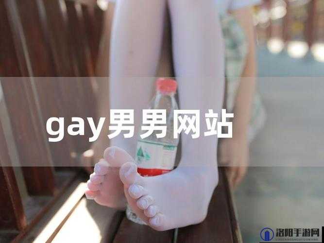 国产中文男男 gay 网站：探索独特的同性情感世界