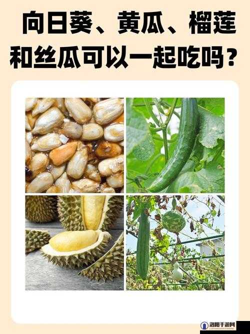 草莓、丝瓜、黄瓜、向日葵与榴莲的奇妙组合