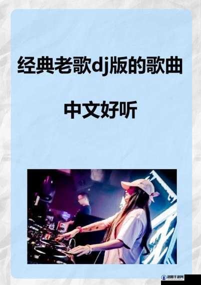 dj 快了又快又骚的 pop 歌曲-一首让人热血沸腾的动感旋律