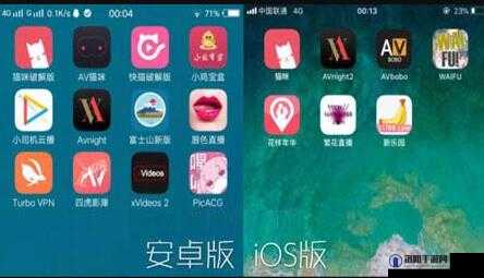 成人黄网站视频免费 APP ：畅享无尽精彩资源