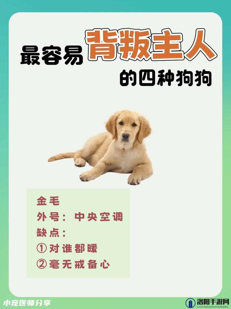 抖 S 狗狗：务必乖乖听从主人的话哟