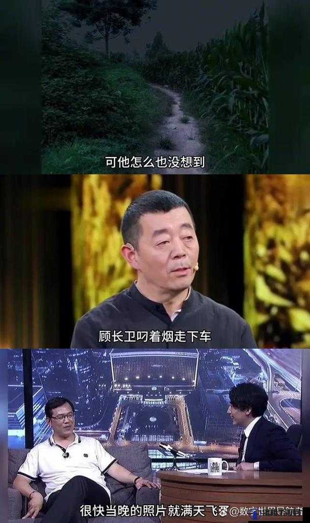 黑料不打烊 2024 大揭秘：深挖娱乐圈不为人知的秘密