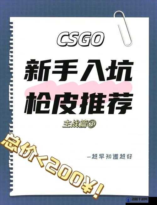 暴躁妹妹 csgo 常用装备推荐之详细分析与解读