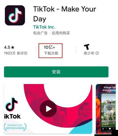 TikTok 官网入口：带你领略精彩短视频世界之旅