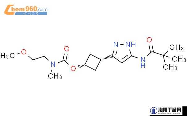 17c17 路 cv 关于它的详细介绍与深入分析