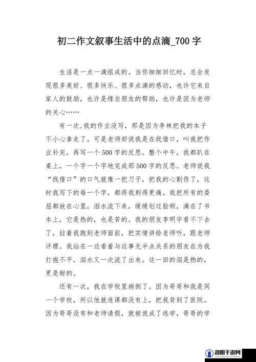 保姆的私密日记：那些不为人知的生活点滴与内心世界