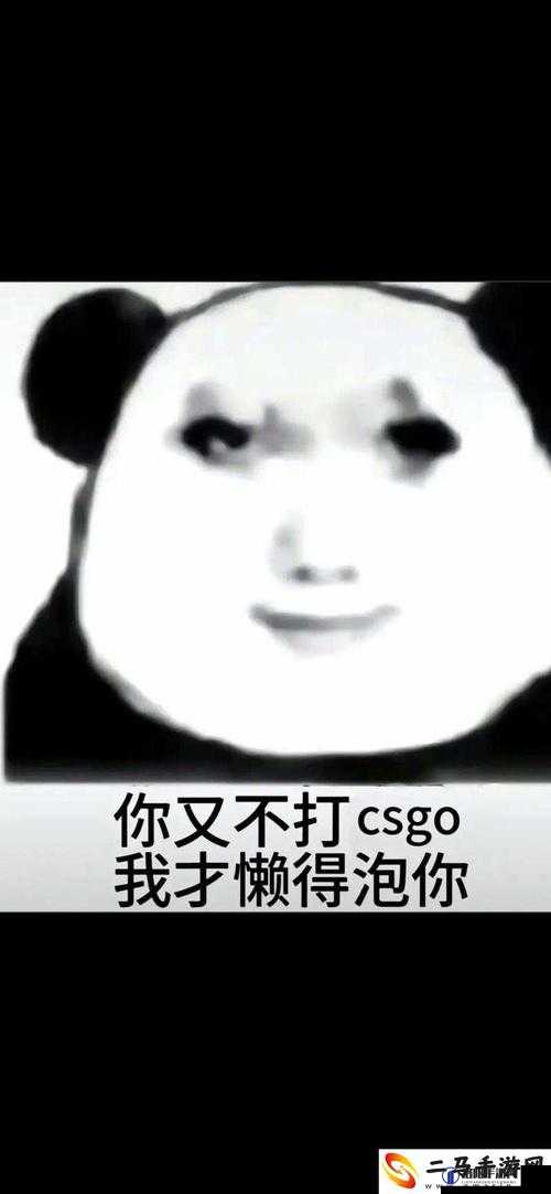 暴躁老姐 CSGO 心得分享：游戏技巧与感悟全揭秘