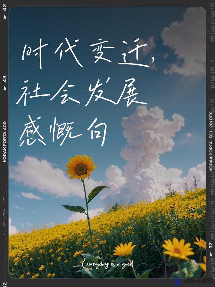 XXXXXL19D 历史背景下的时代变迁与发展趋势探讨