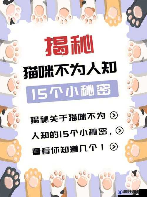 黑料大揭秘：这里收录了大量不为人知的秘密