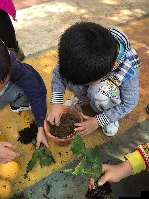 文明与征服春日植树节活动全攻略，植树位置大全及活动指南