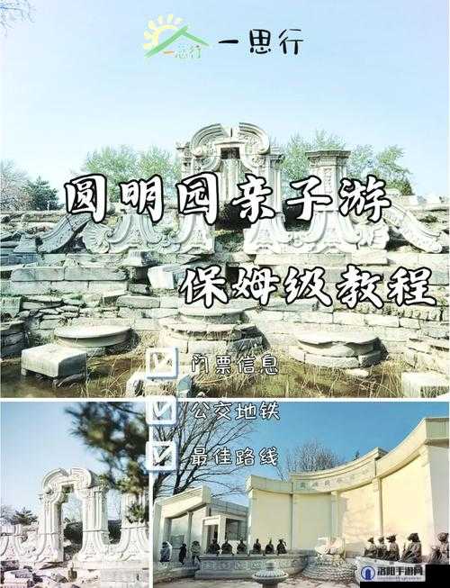 公主在御花园吃龙棍是哪一集：探寻古代宫廷美食背后的故事