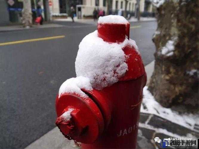 随心而动胸前两个大雪球跟着抖动怎么办之深入探讨与应对策略