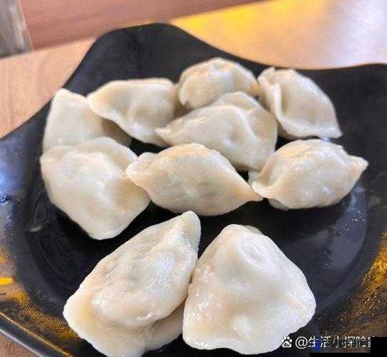 课后辅导肉馅小水饺：美味与知识的奇妙融合之旅